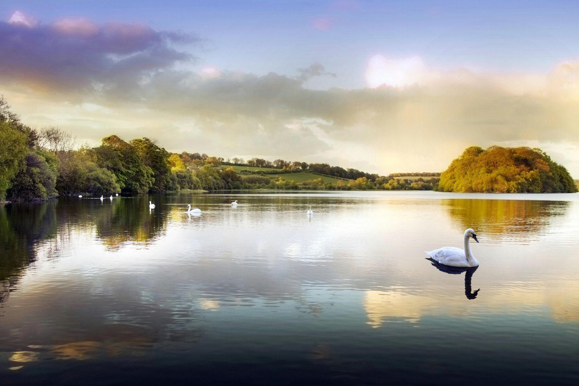 Euro Toys Europe Puzzle Puzzle inkl. Matte - Sunset on Swan Lake (1000 Teile), 1000 Puzzleteile