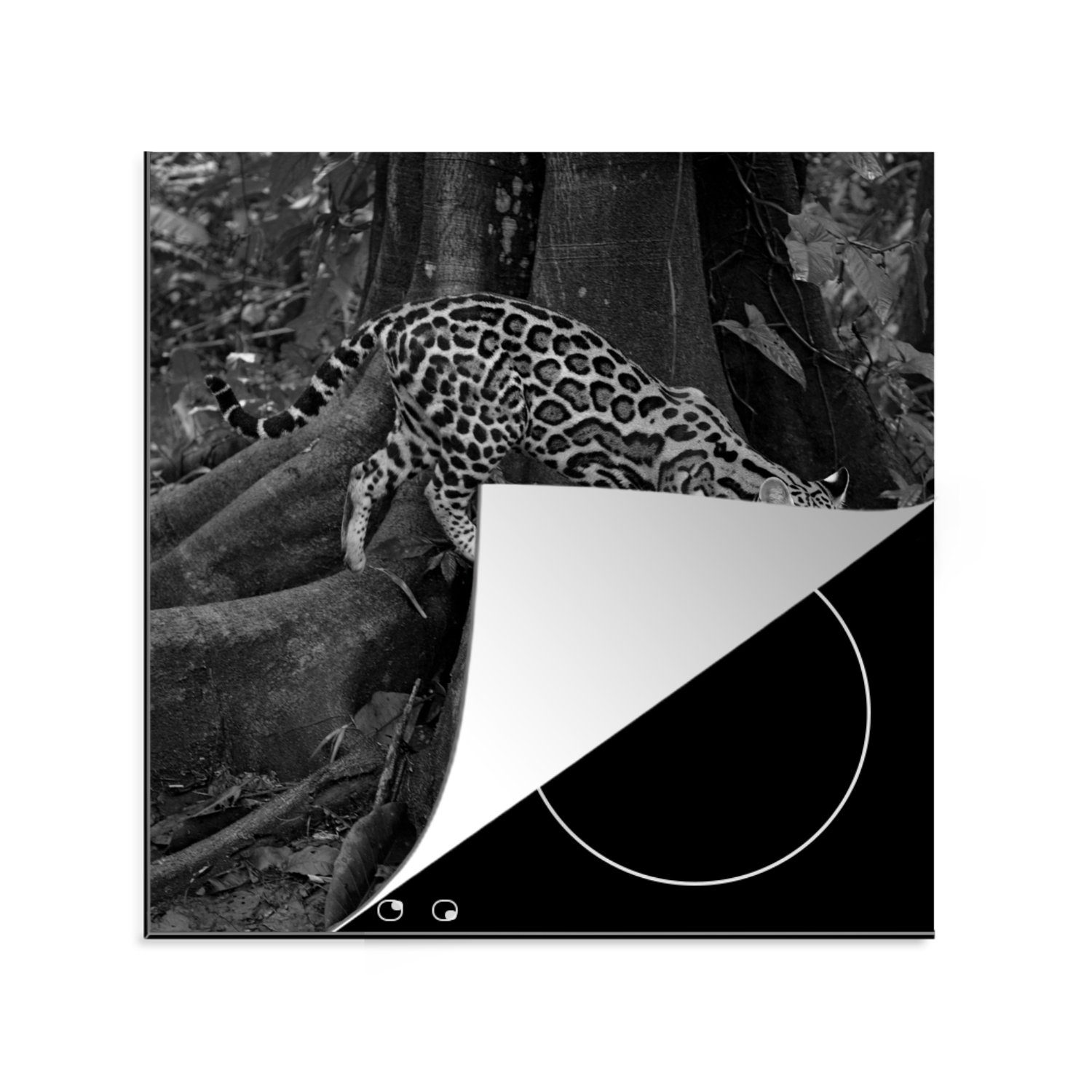 MuchoWow Herdblende-/Abdeckplatte Ozelot im Dschungel von Costa Rica in Schwarz und Weiß, Vinyl, (1 tlg), 78x78 cm, Ceranfeldabdeckung, Arbeitsplatte für küche