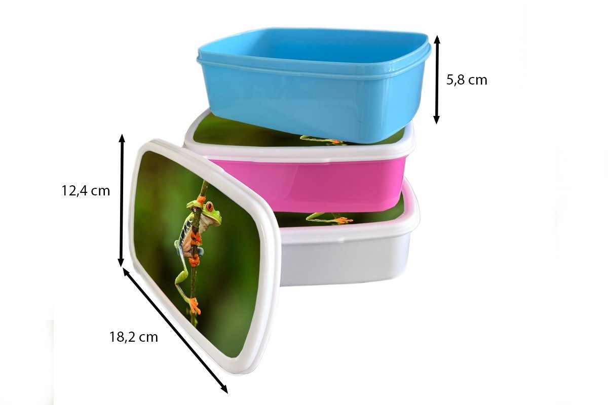 Brotbox - Zweig, MuchoWow Jungs Lunchbox Kunststoff, für und Kinder Brotdose, weiß und - Regenwald Erwachsene, Mädchen für Frosch (2-tlg),