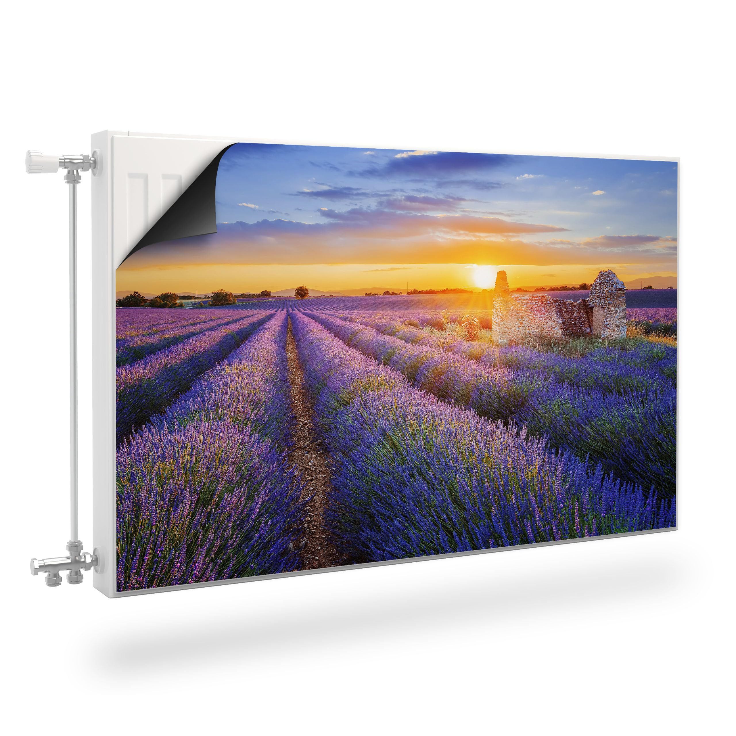 Muralo Magnetfolie Heizkörperverkleidung Lavendelfeld – Heizkörperabdeckung magnetisch, 80x60 cm, abriebfest, abwischbar