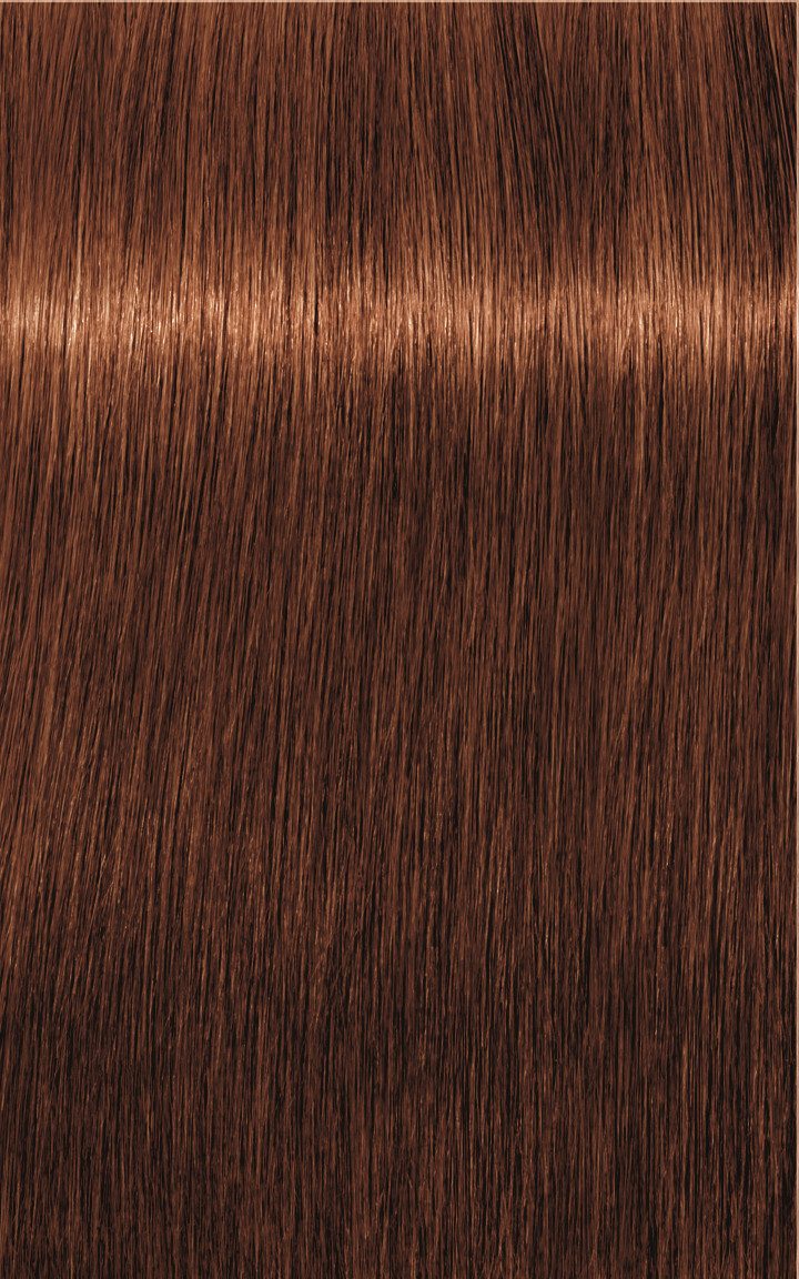 SCHWARZKOPF Haarfarbe Schwarzkopf Igora Absolutes 6-70 60ml mehr