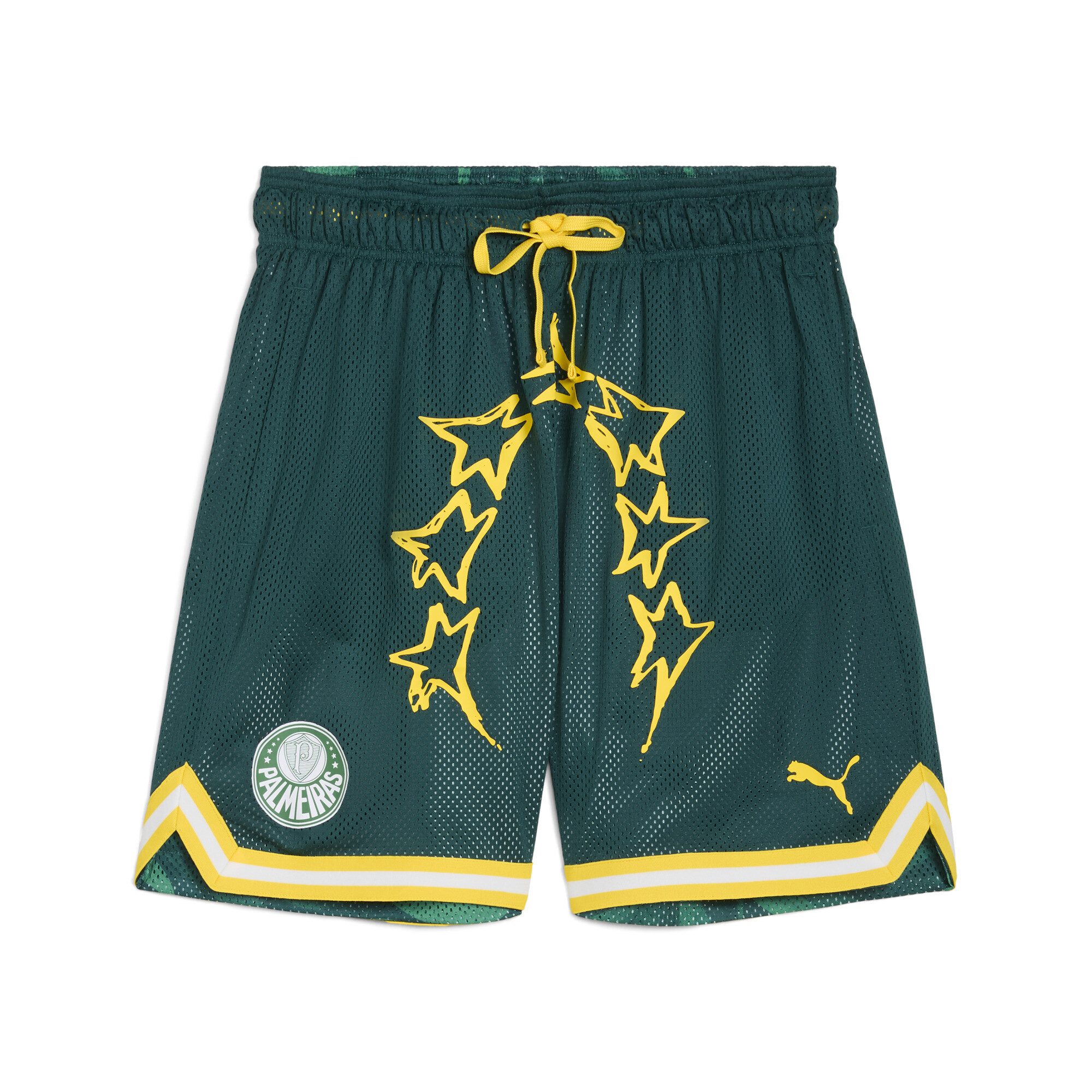 PUMA Шорты PUMA HOOPS x SE PALMEIRAS Basketballshorts Herren