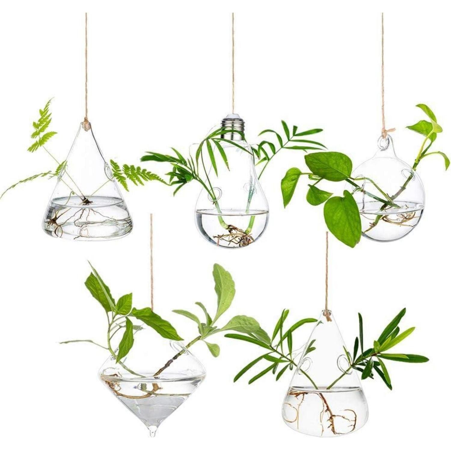 LuxusKollektion Blumenampel Hängende Glas Pflanzgefäße Wasserpflanzen Terra günstig online kaufen