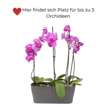 GarPet Blumentopf Orchideentopf TRIOLA anthrazit