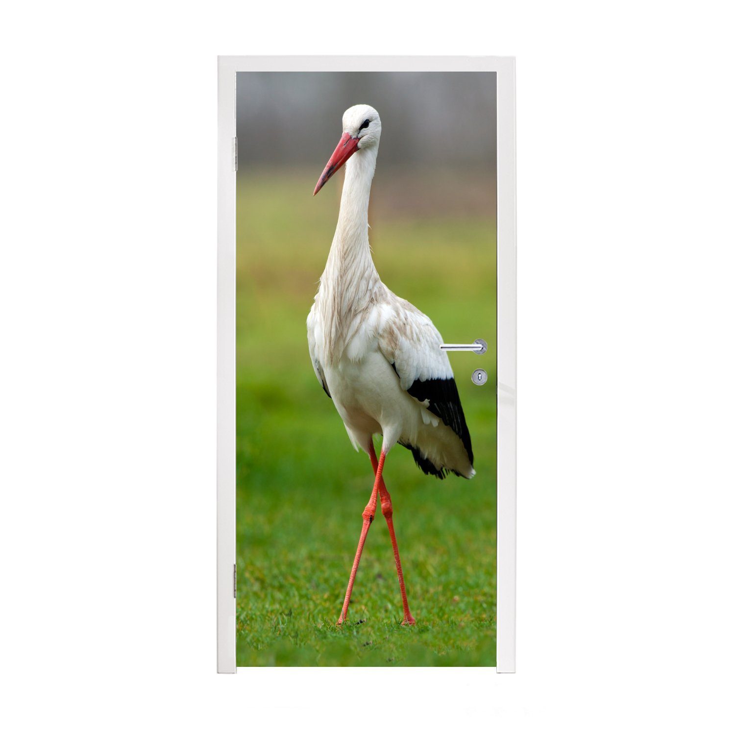MuchoWow Türtapete Ein Storch läuft auf dem Gras, Matt, bedruckt, (1 St), Fototapete für Tür, Türaufkleber, 75x205 cm