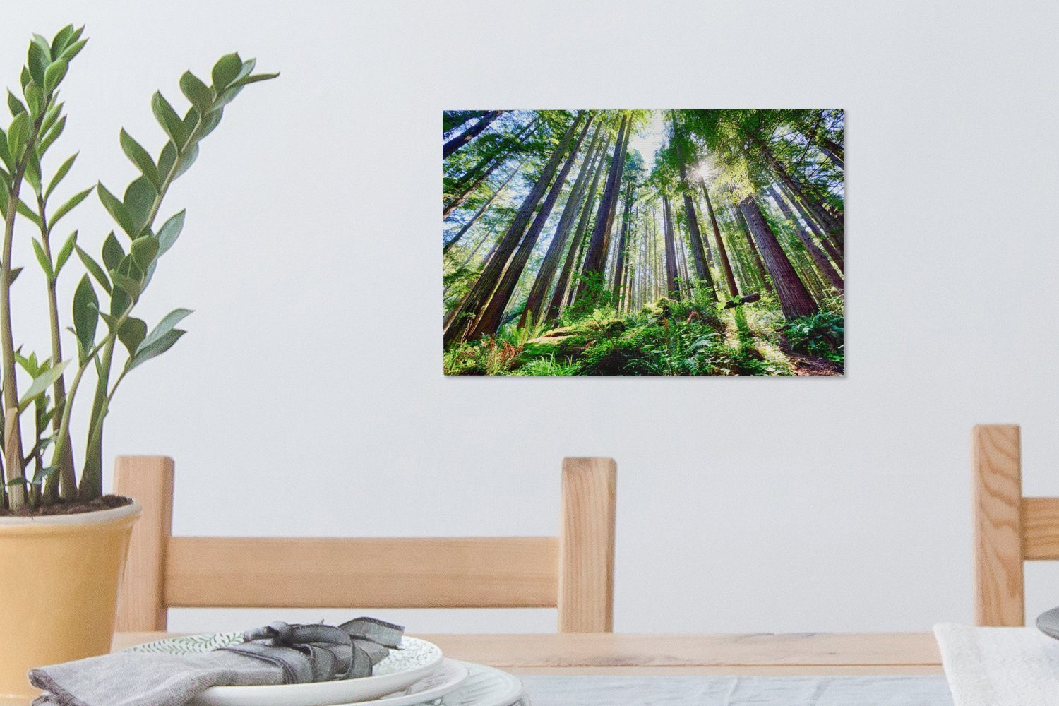 von Sonnenstrahlen, Redwood-Bäumen St), cm Aufhängefertig, Hervorragendes Wandbild Bild (1 Wanddeko, 30x20 OneMillionCanvasses® mit Leinwandbilder, Leinwandbild