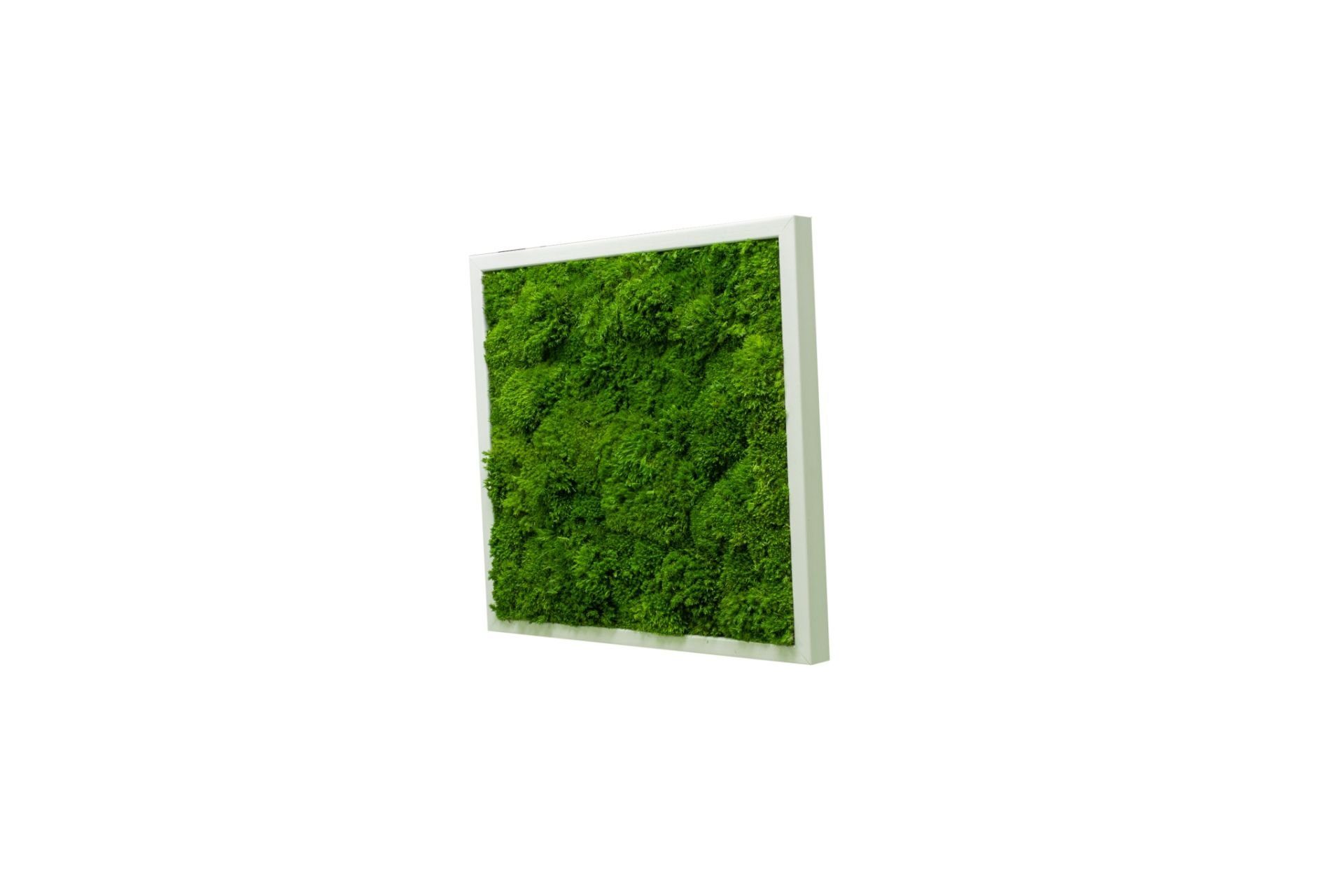 Moos-Design Bilderrahmen Moos Bild Wave Design 100% Bollenmoos