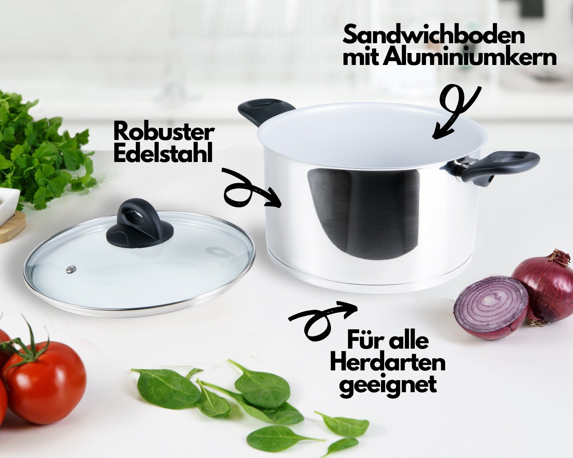 Genius Kochtopf Genius Cerafit Steel Kochtopf-Set 20cm (3,6l) + 24cm (6l), Edelstahl 18/10 (Set, 2 Töpfe), Antihaft-Beschichtung