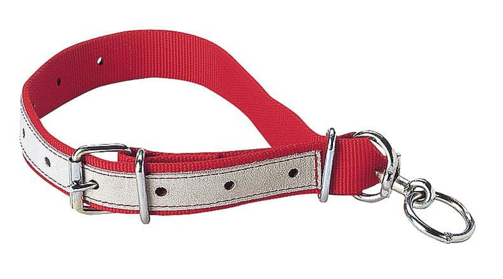 Horizont Tier-Halsband KAMER Nylon-Kälberhalsriemen lederverstärkt (80 cm) rot