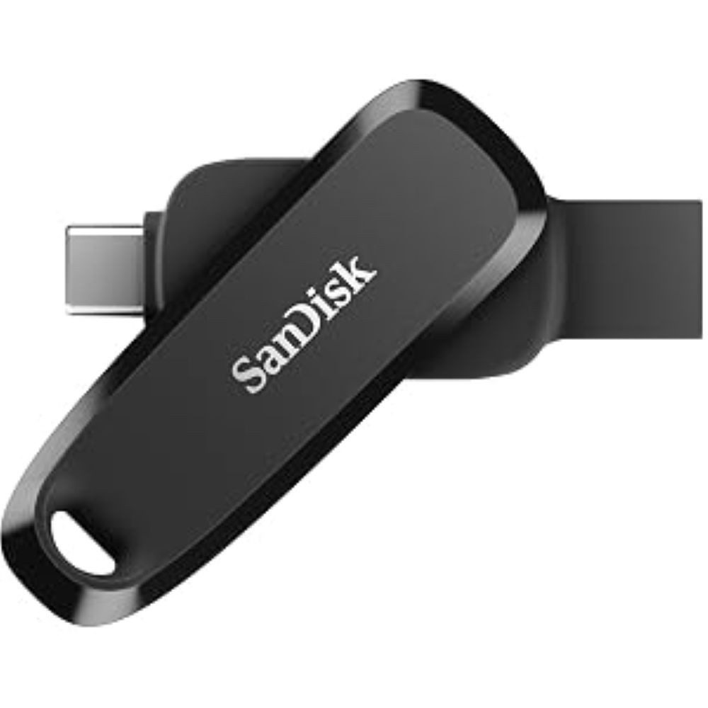 Sandisk SanDisk SDDDC6-256G-G46 USB flash drive USB-Stick