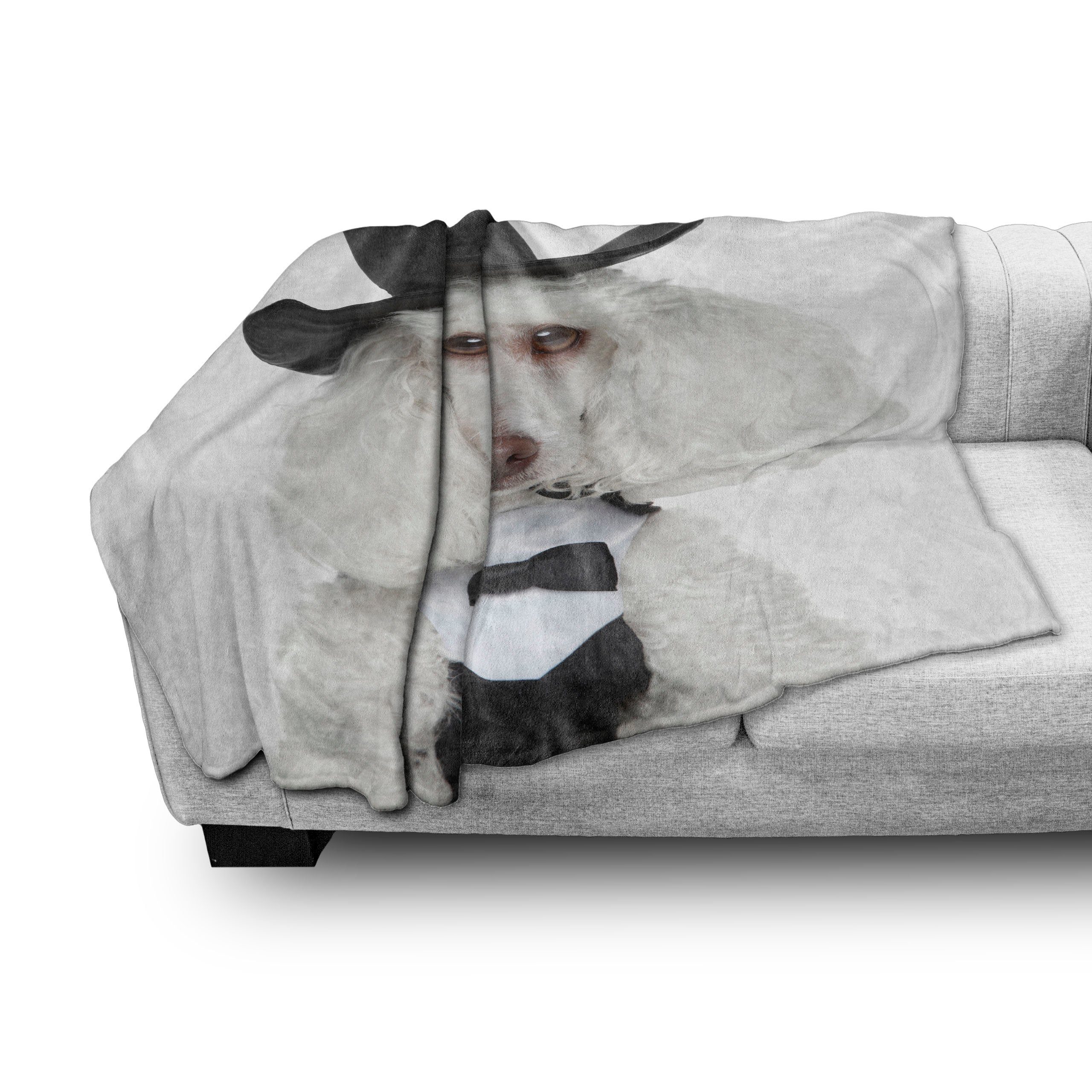 Wohndecke Gemütlicher Plüsch für den Hut Abakuhaus, einem und Innen- Portrait Hunde Blick Sad Außenbereich, in