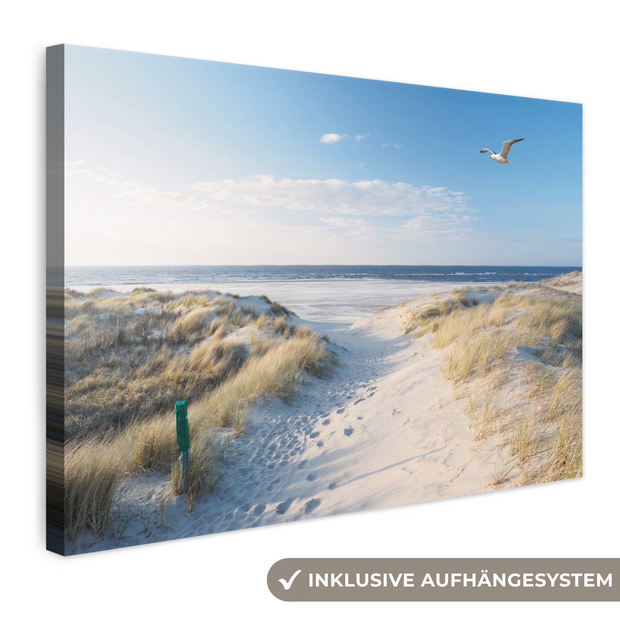 OneMillionCanvasses® Leinwandbild Düne - Möwe - Strand - Meer - Sonne, Fotodruck (1 St), Leinwand Bilder Klein, Wand Dekoration Aesthetic 30x20 cm