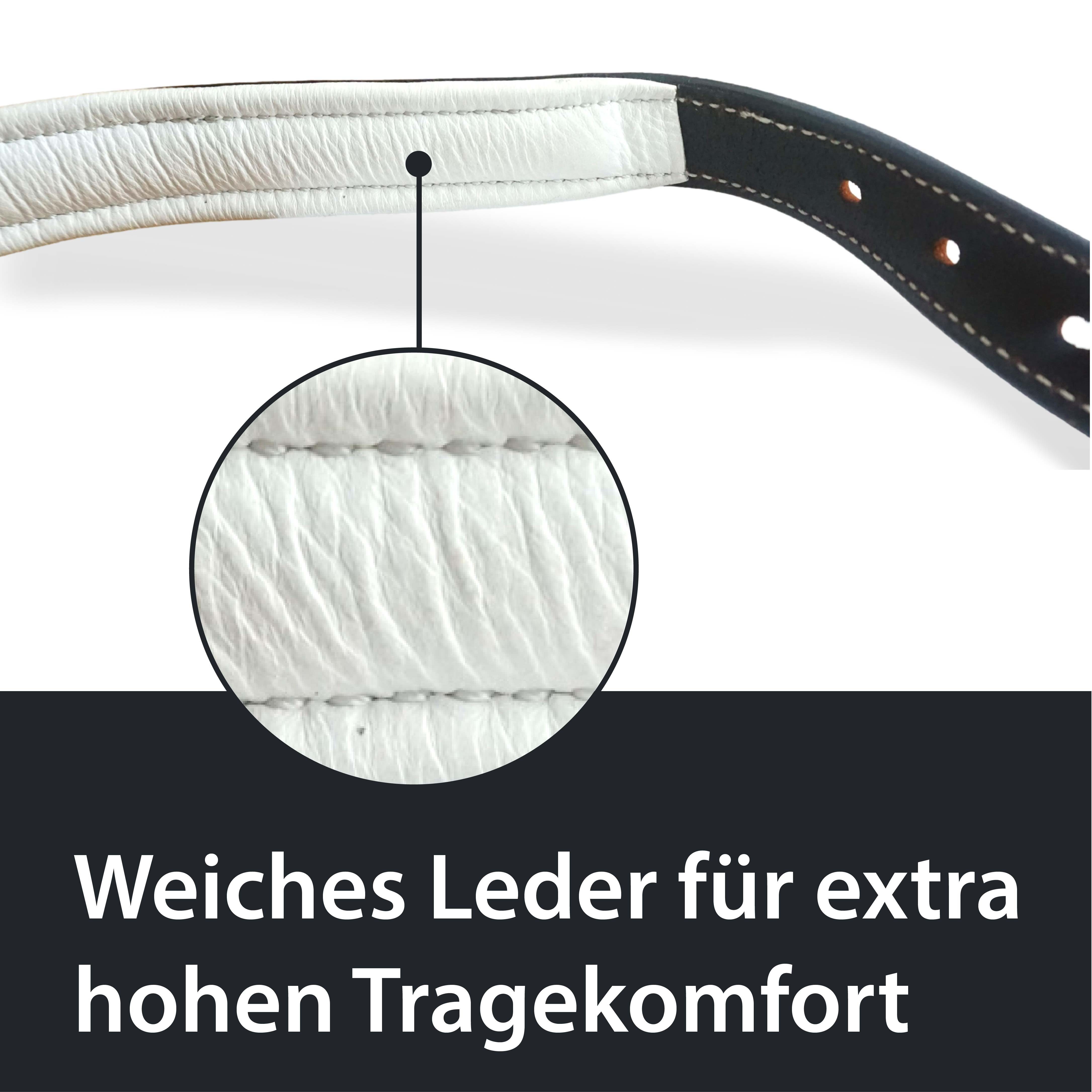 Pferdelinis Lederhalfter Lederhalfter Halfter Pferd Stallhalfter Pony Warmblut Cob, Kaltblut, verstellbar