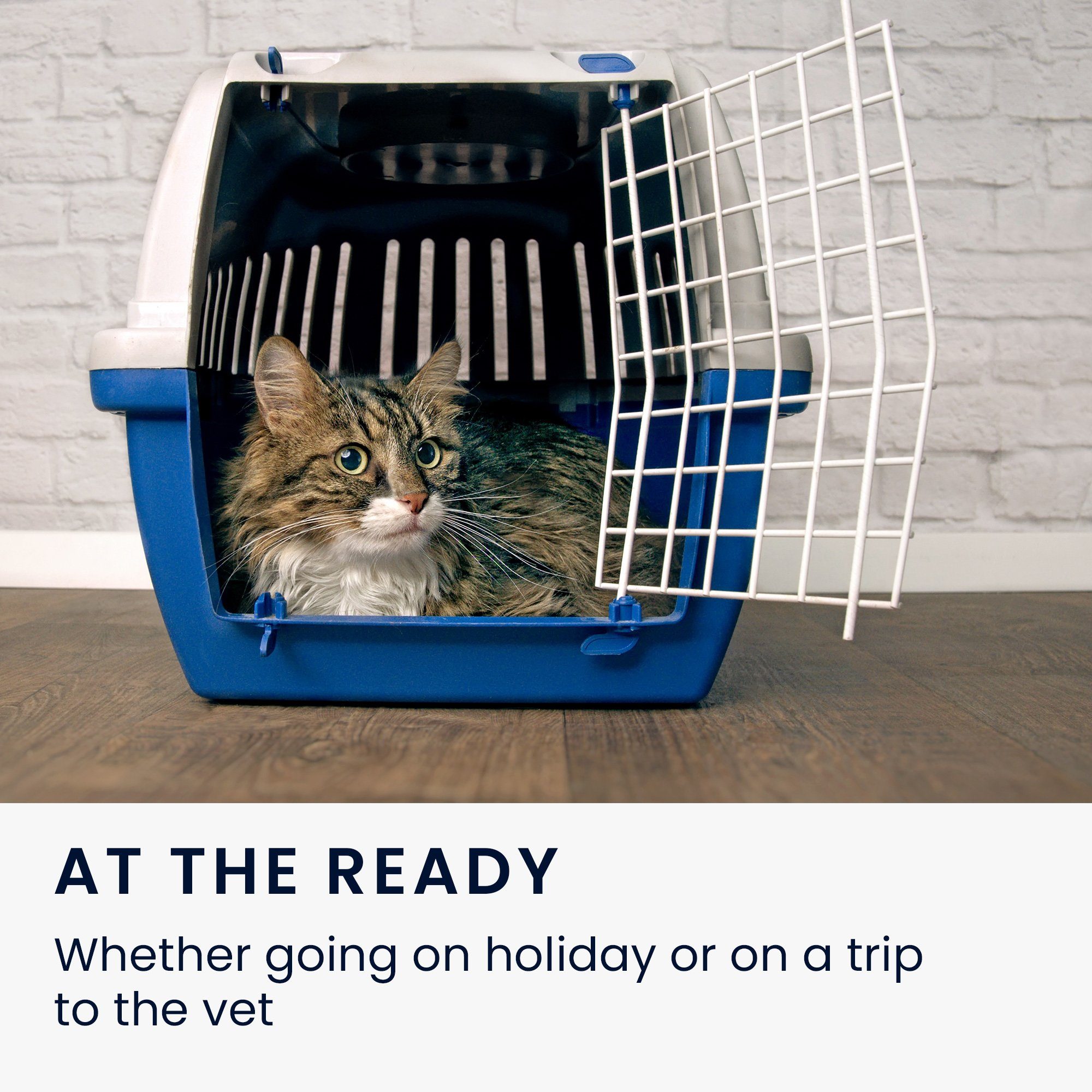 kwmobile Etui Impfpass Hülle für Tiere, Schutzhülle EU Heimtierausweis - Ha günstig online kaufen