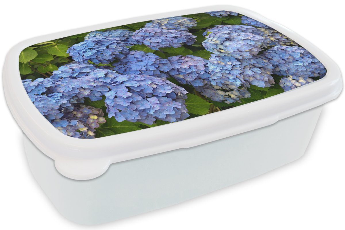Erwachsene, für für Kunststoff, Jungs Hortensien, Brotdose, Blumenstrauß weiß MuchoWow und Brotbox Lunchbox (2-tlg), Kinder aus und Mädchen