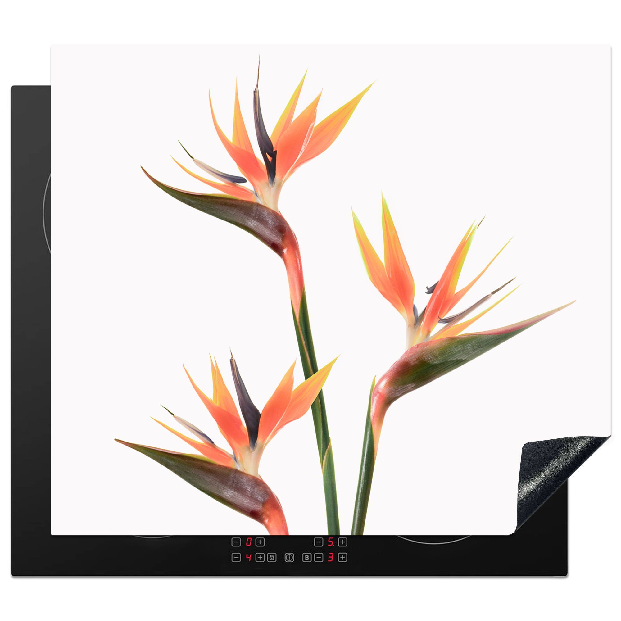 MuchoWow Herdblende-/Abdeckplatte Blumen - Vinyl, 60x52 Natur Pflanzen, - cm, (1 Arbeitsfläche Mobile nutzbar, Orange - Ceranfeldabdeckung tlg)