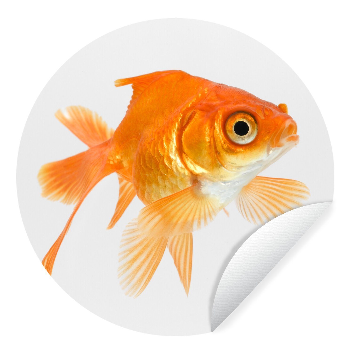 MuchoWow Wandsticker Goldfisch - Weiß - Schwimmen (1 St), Tapetenkreis für Kinderzimmer, Tapetenaufkleber, Rund, Wohnzimmer