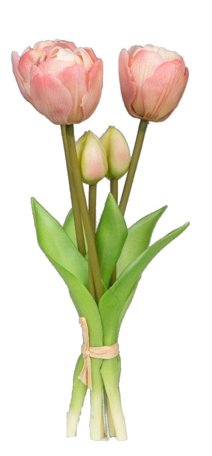 Tulpenbündel, formano Kunstblume Höhe Kunstpflanze, formano, 5 creme, cm 60 Kunstblume Stück,