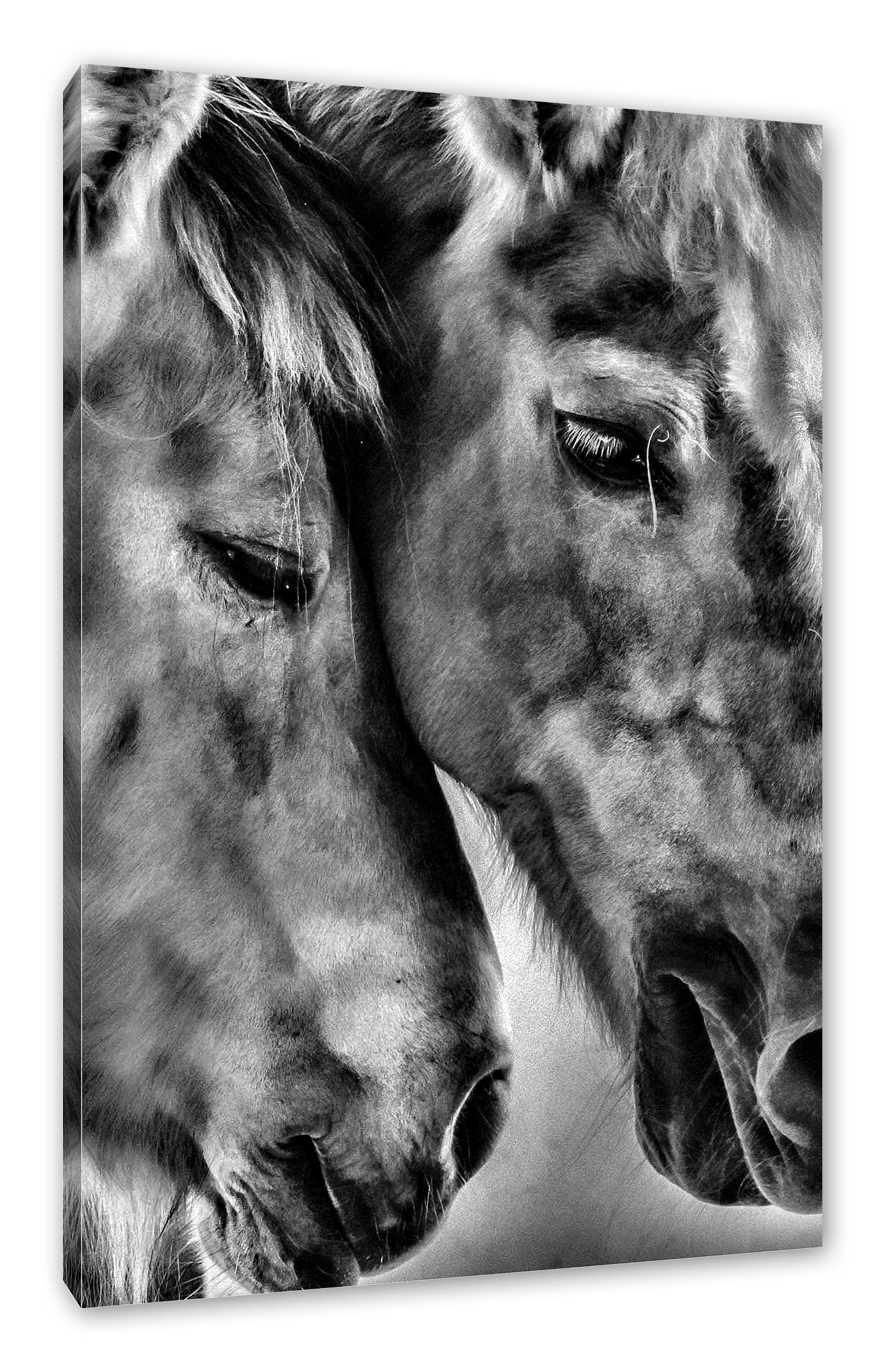 Pferde, St), fertig zwei inkl. zwei Pixxprint (1 liebevolle bespannt, Pferde Zackenaufhänger Leinwandbild liebevolle Leinwandbild