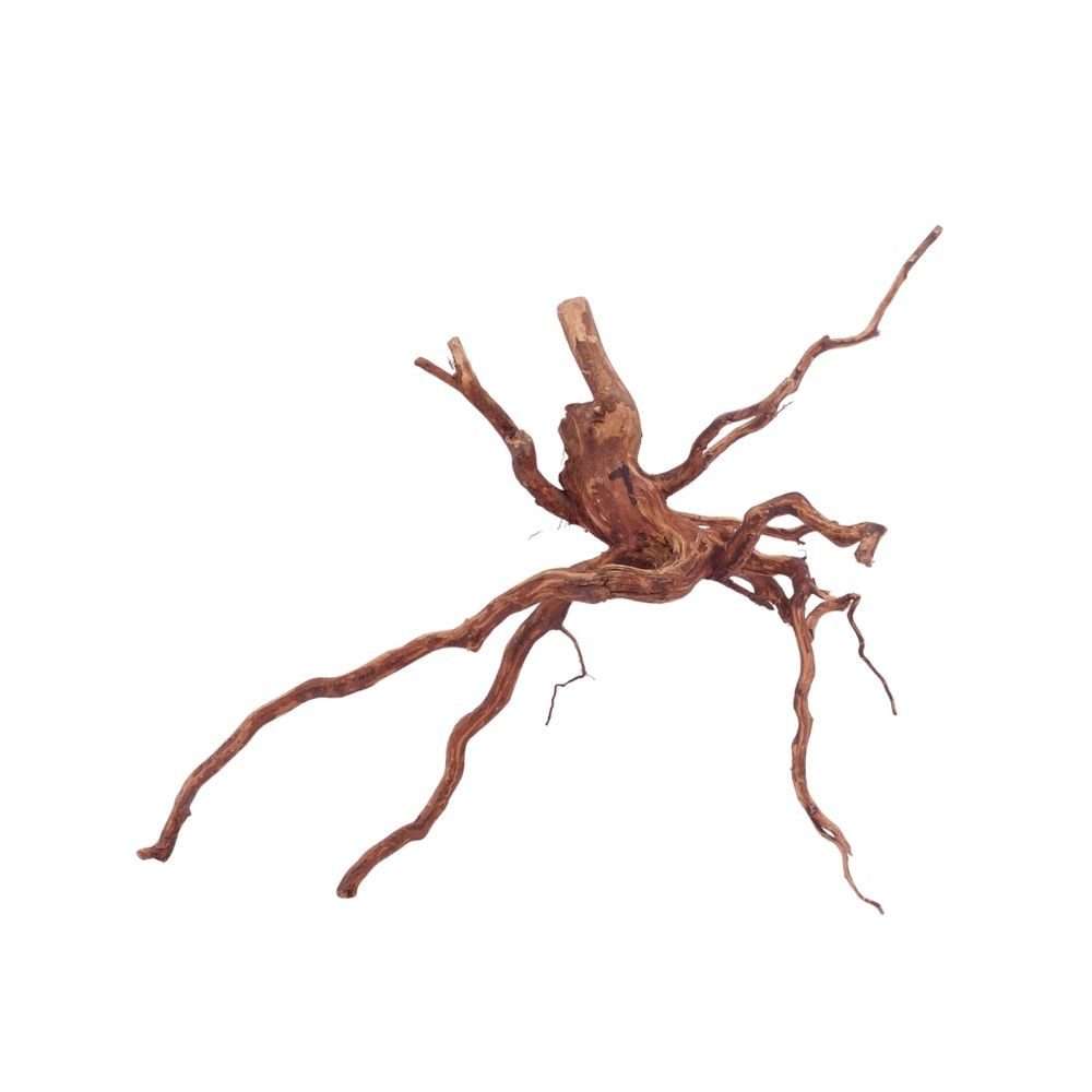 Aquaone Aquarium L Red Spider Wurzel Nr.4610 Fingerwurzel Echtholz Deko Aquascaping