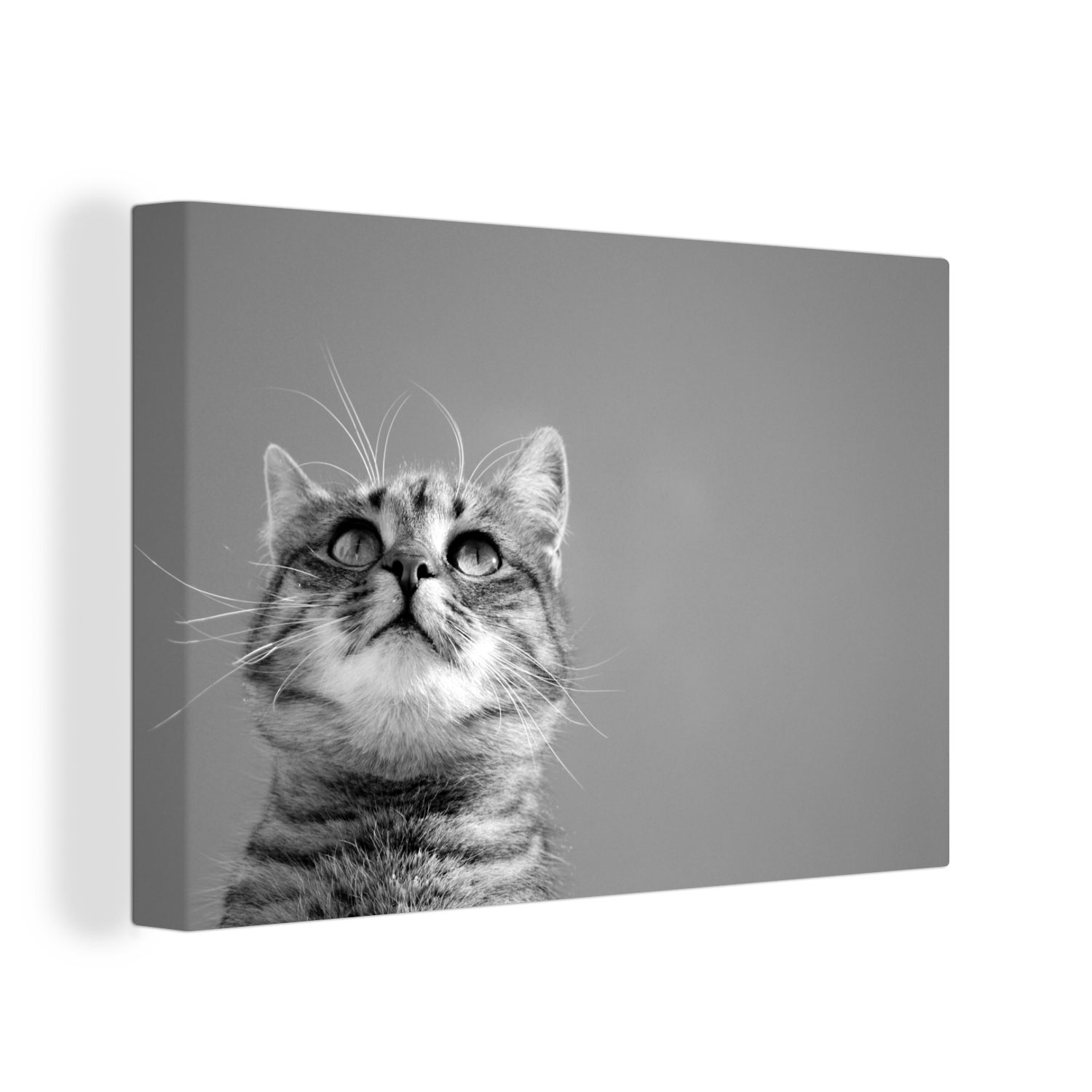 Mädchen Katze Wandbild St), - OneMillionCanvasses® cm Wanddeko, Jungen Leinwandbilder, - (1 - Luft Braun Kinder, Aufhängefertig, bunt - Leinwandbild - 30x20