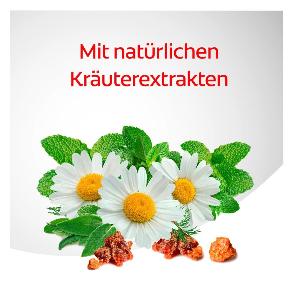Dentagard Zahnpasta Zahnpasta Kräuter, (1-St)
