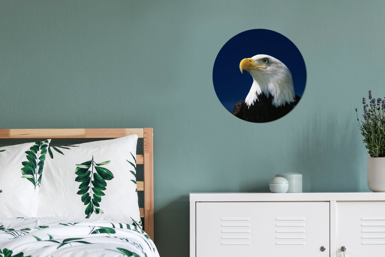 MuchoWow Gemälde Ein Weißkopfseeadler (1 cm St), einen 30x30 Kreis Wandbild, Forex, in Wanddekoration Wohnzimmer, Rundes Himmel, schaut blauen