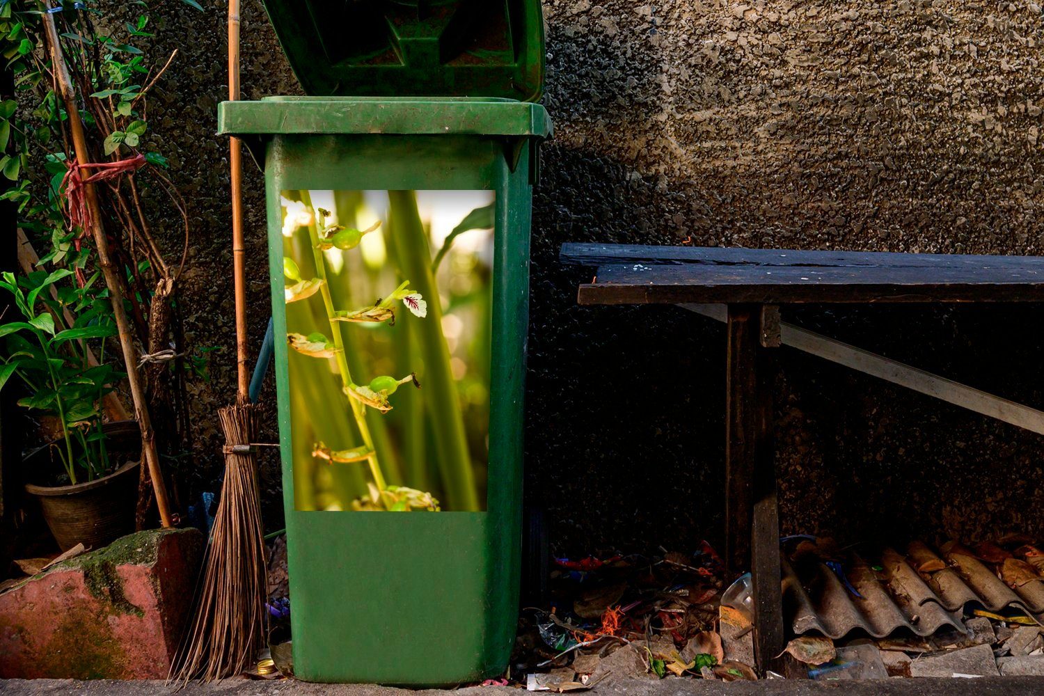 St), Wandsticker Kardamomsamen der Container, Abfalbehälter Blühende (1 Mülleimer-aufkleber, MuchoWow in Natur Sticker, Mülltonne,