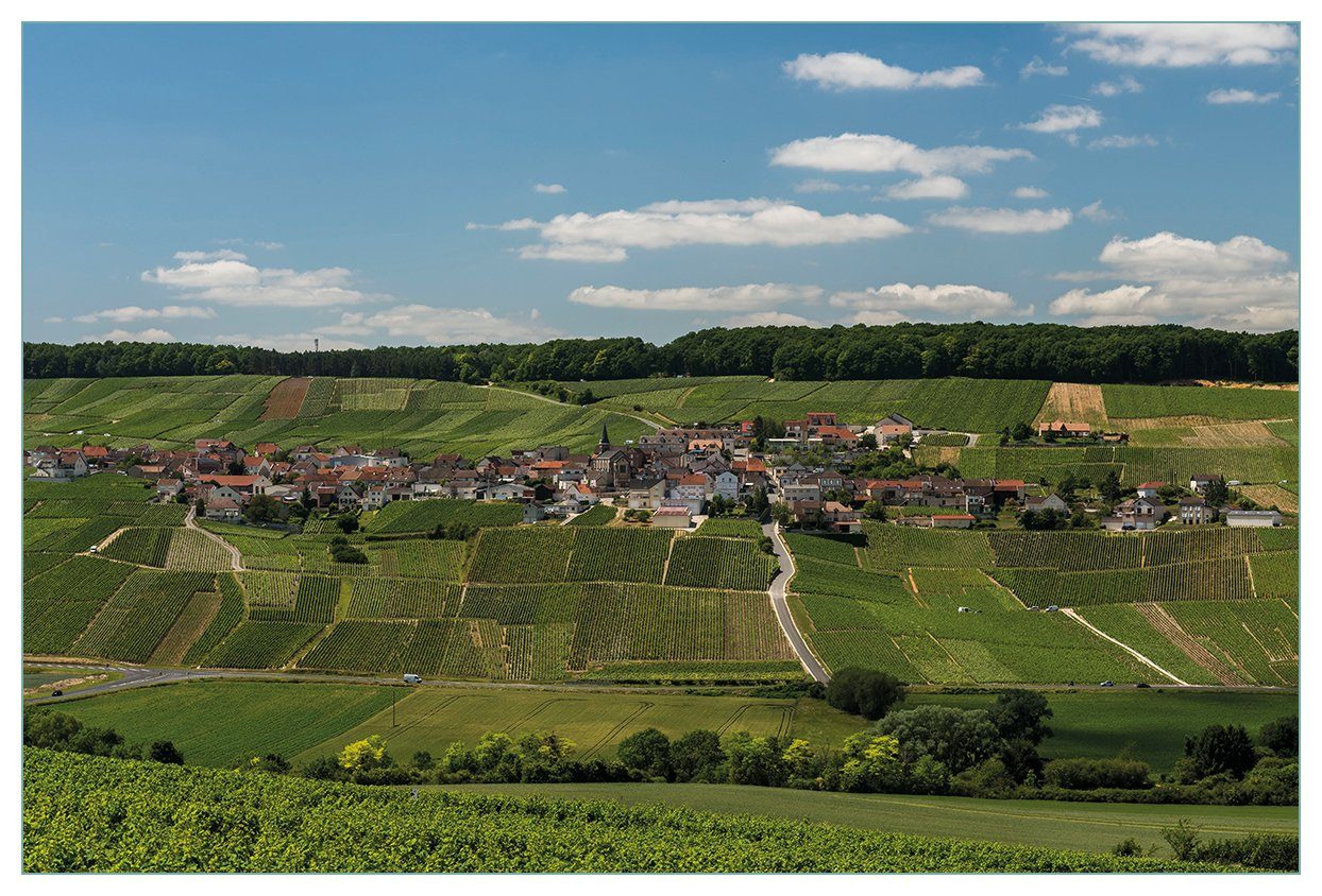 Wallario Küchenrückwand über Panoramablick Champagne, die (1-tlg)