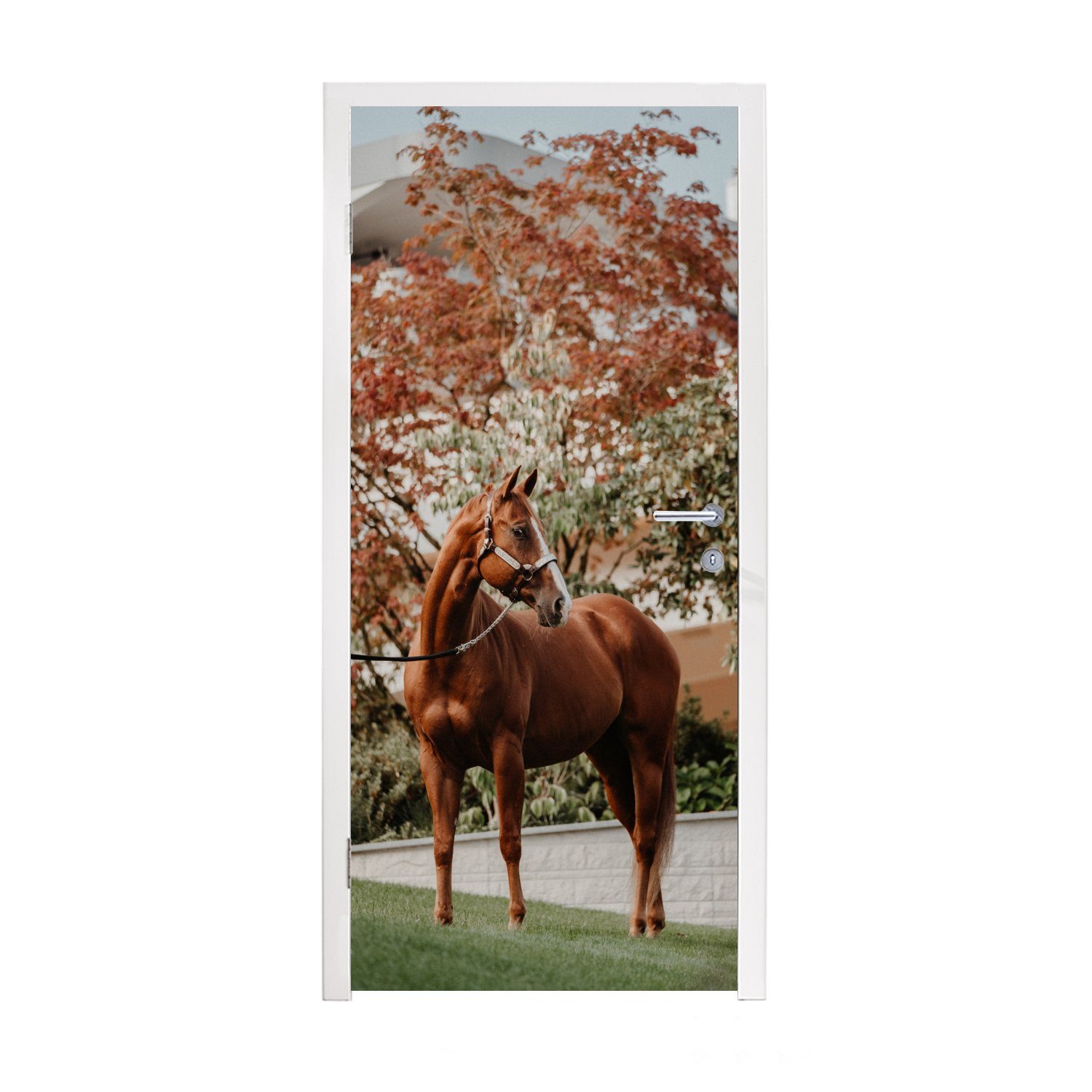 MuchoWow Türtapete Pferd - Baum - Halfter, Matt, bedruckt, (1 St), Fototapete für Tür, Türaufkleber, 75x205 cm