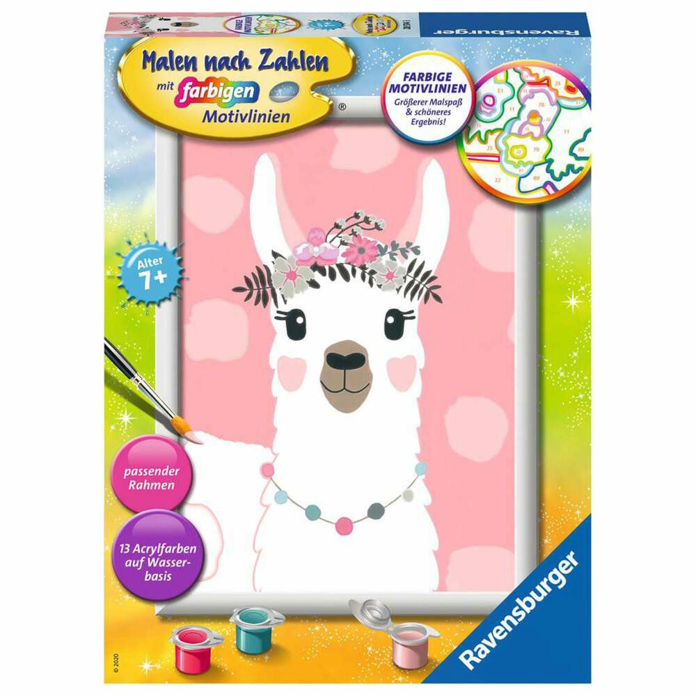 Malen nach Zahlen No Drama Lama