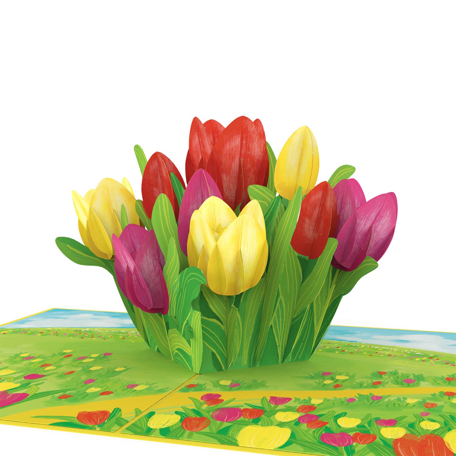 papercrush Geburtstagskarte Bunte Tulpenwiese Pop-Up Karte