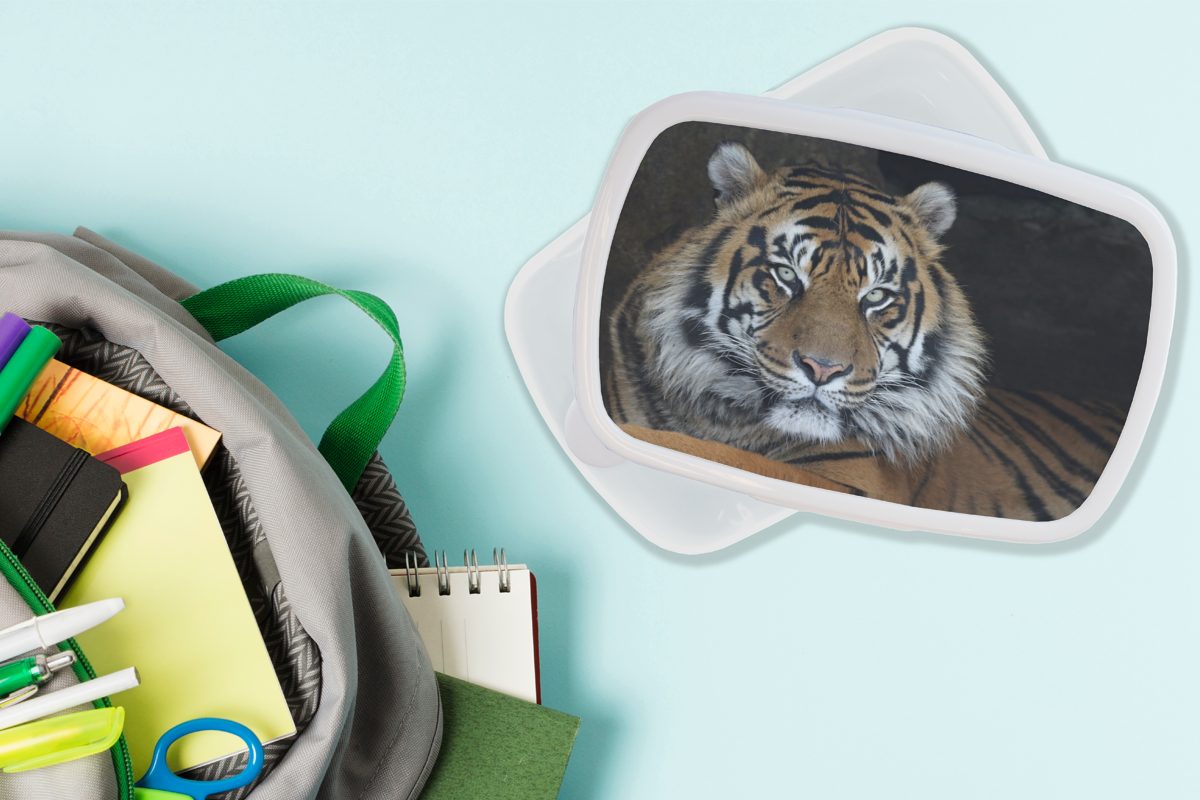 MuchoWow Lunchbox Tiger für Brotbox weiß Natur, und Erwachsene, (2-tlg), Mädchen für - Brotdose, Höhle Jungs - und Kunststoff, Kinder