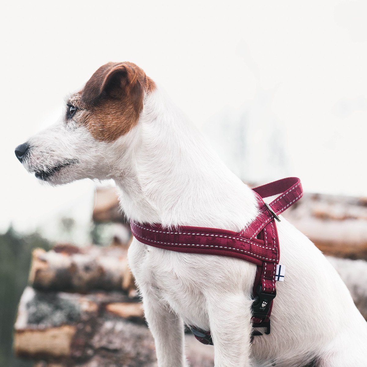 HURTTA Hunde-Geschirr Casual Geschirr weinrot günstig online kaufen