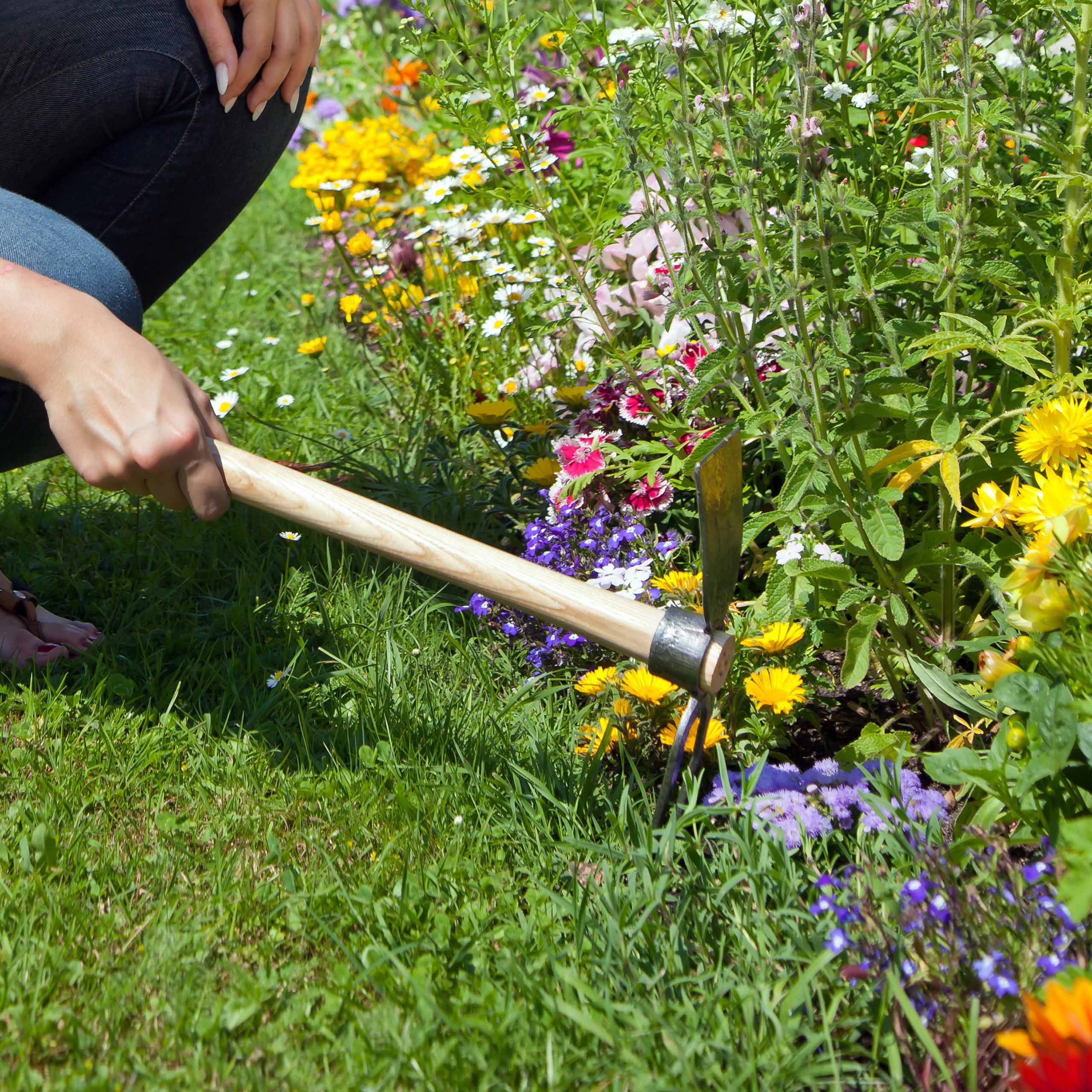 Thumbnail - Sarcia.eu Gartenhacke Gartenhacke mit lackiertem Eschenholzstiel (40cm)