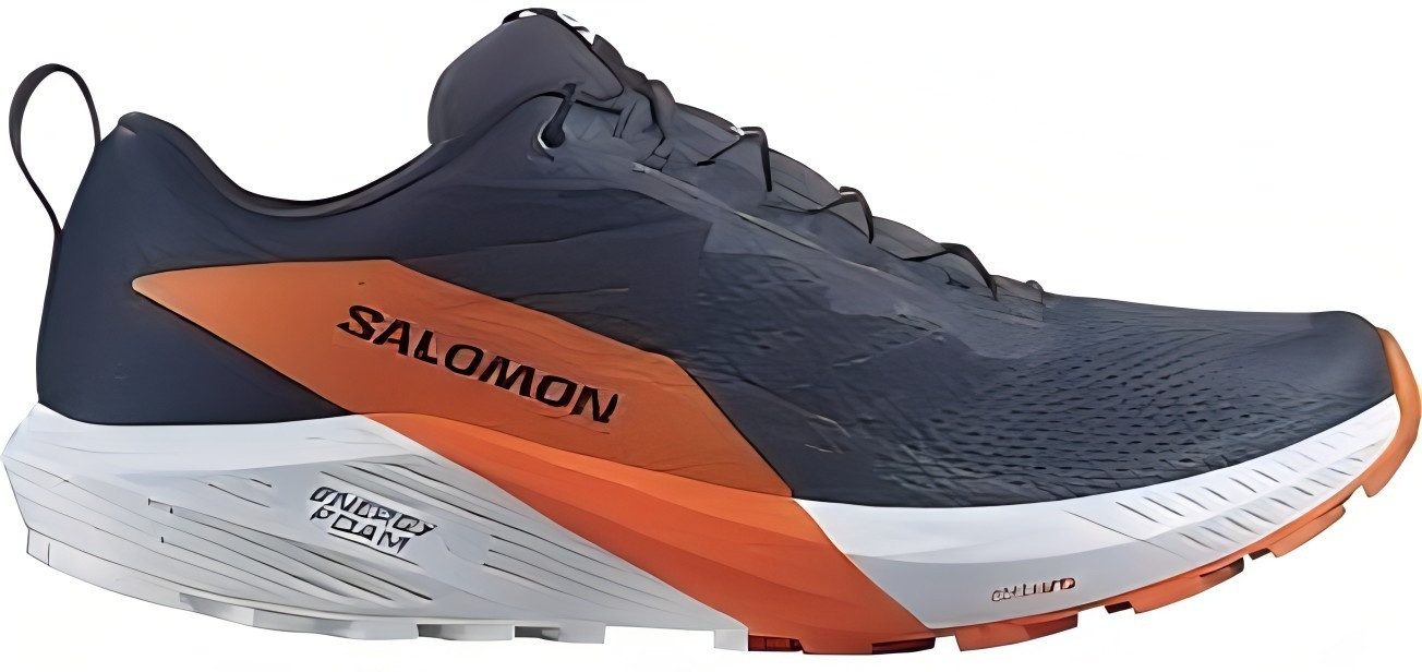 Salomon Sense Ride 5 GTX für Herren Laufschuh