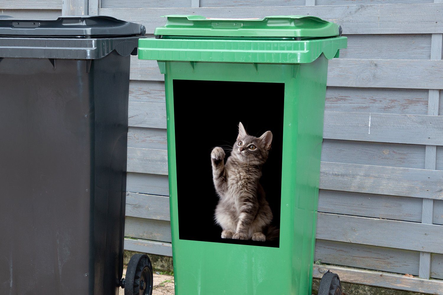 Kätzchen Wandsticker Abfalbehälter Mülltonne, Sibirisches Sticker, MuchoWow St), Container, (1 Mülleimer-aufkleber,