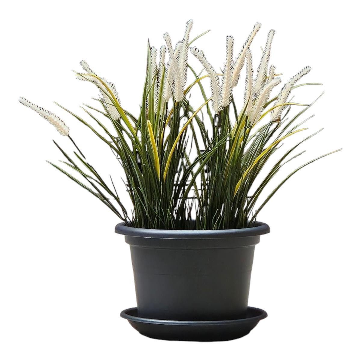 Teramico Übertopf "Basic" 30cm Anthrazit mit Untersetzer 4er SET, 100% Frostfest