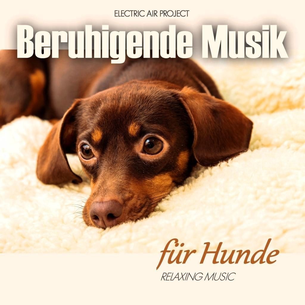 Hörspiel-CD Beruhigende Musik für Hunde