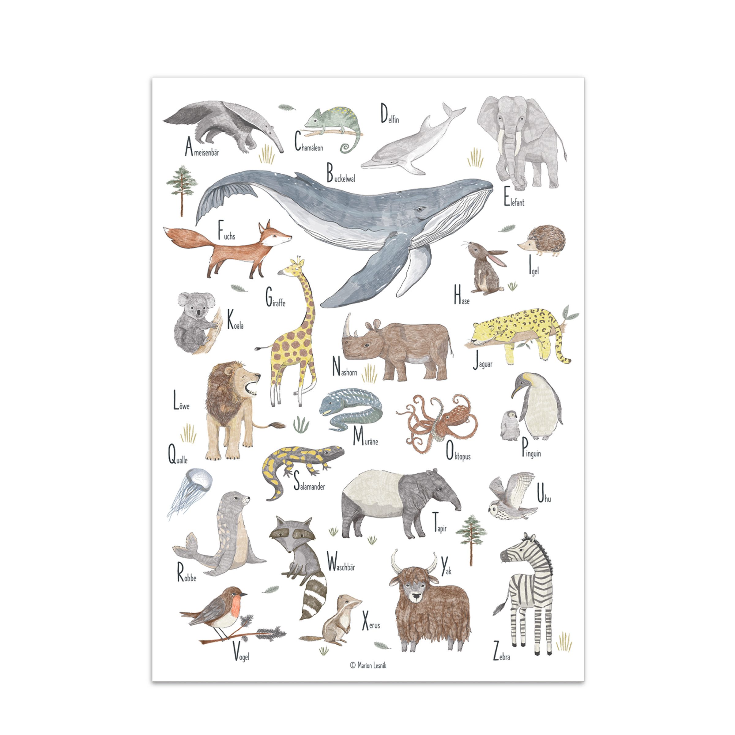 Designforlittleones Poster ABC der Tiere, 50 x 70 cm großes Alphabet Poster günstig online kaufen