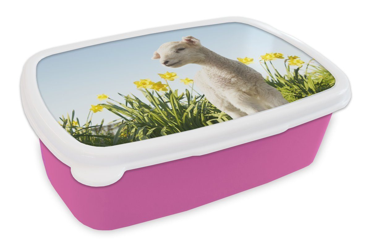 - rosa Blumen MuchoWow Kunststoff, Brotbox Kinder, Snackbox, Brotdose Kunststoff Erwachsene, Frühling, Mädchen, für Lunchbox - (2-tlg), Schafe