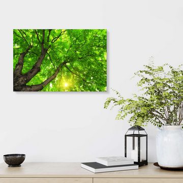 Posterlounge Forex-Bild Editors Choice, Unter einem großen grünen Baum, Fotografie