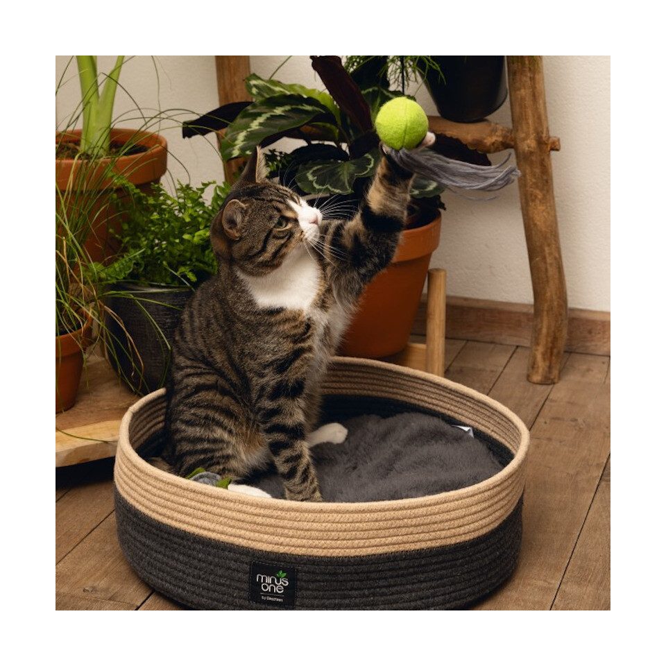 Beeztees Katzenangel Minus One Katzenangel Viena grün-braun