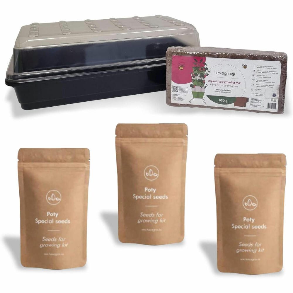 hexagro Anzuchttopf Set Sommersalate, mit 3 Sorten Samen