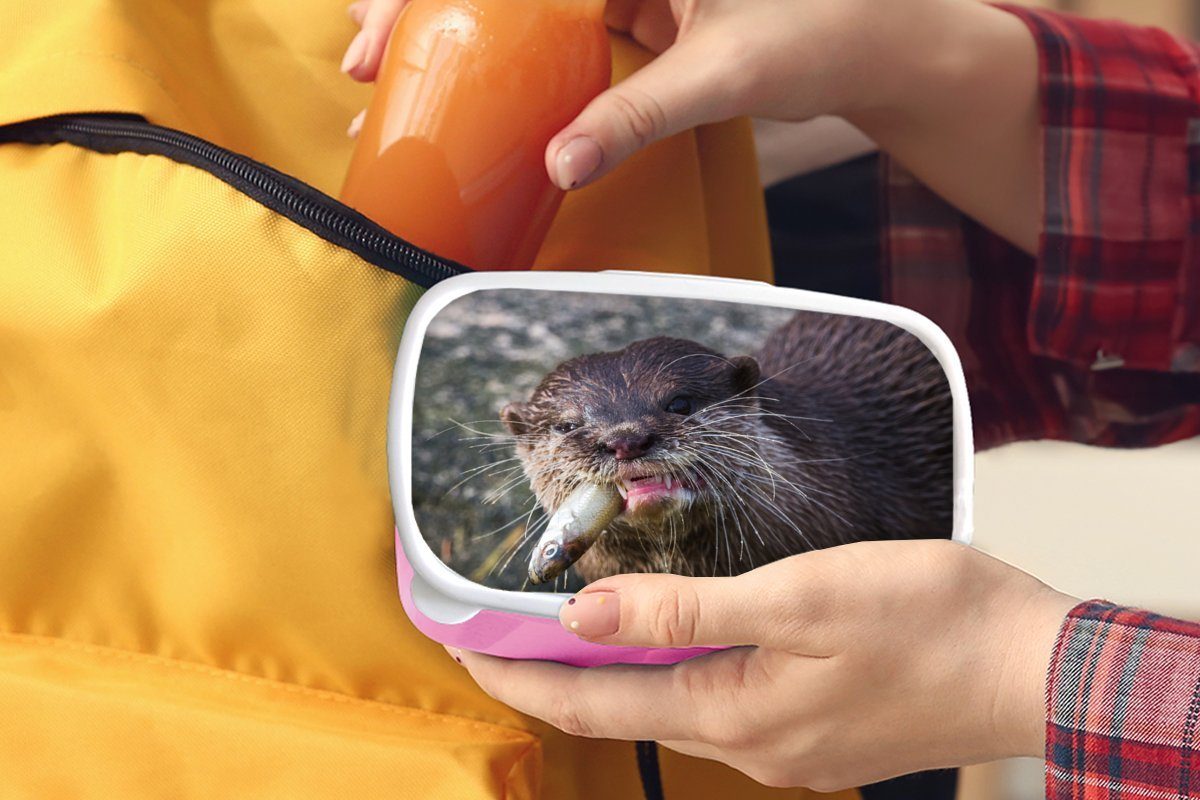 MuchoWow Lunchbox Otter frisst (2-tlg), Mädchen, Erwachsene, Brotbox Brotdose Kunststoff rosa Kinder, Snackbox, Kunststoff, Fisch, für