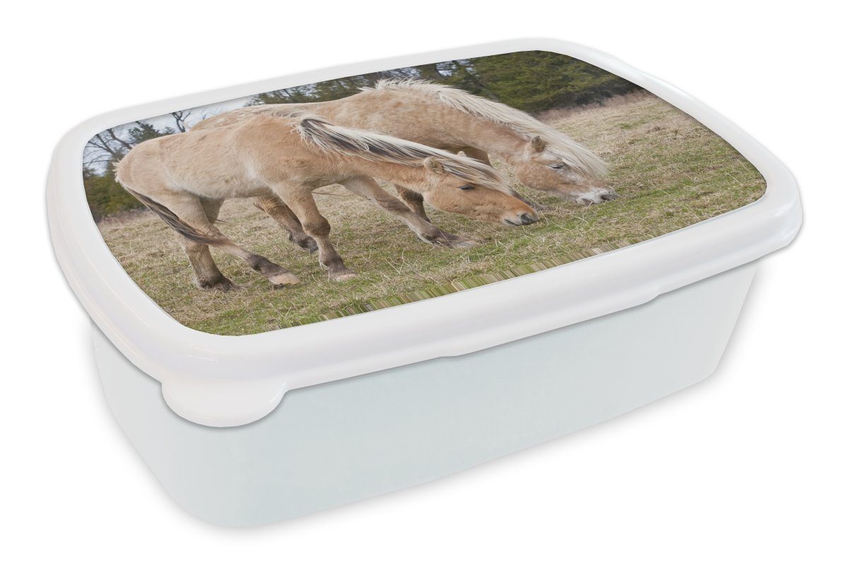 MuchoWow Lunchbox Zwei grasende Fjordpferde auf einer Wiese, Kunststoff, (2-tlg), Brotbox für Kinder und Erwachsene, Brotdose, für Jungs und Mädchen weiß