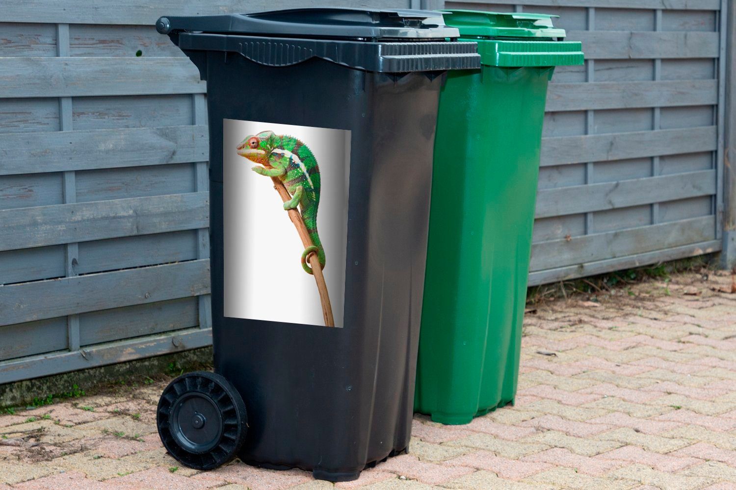 auf St), Ast Abfalbehälter Mülleimer-aufkleber, Container, Wandsticker Sticker, Mülltonne, Hintergrund weißem Chamäleon MuchoWow (1 auf