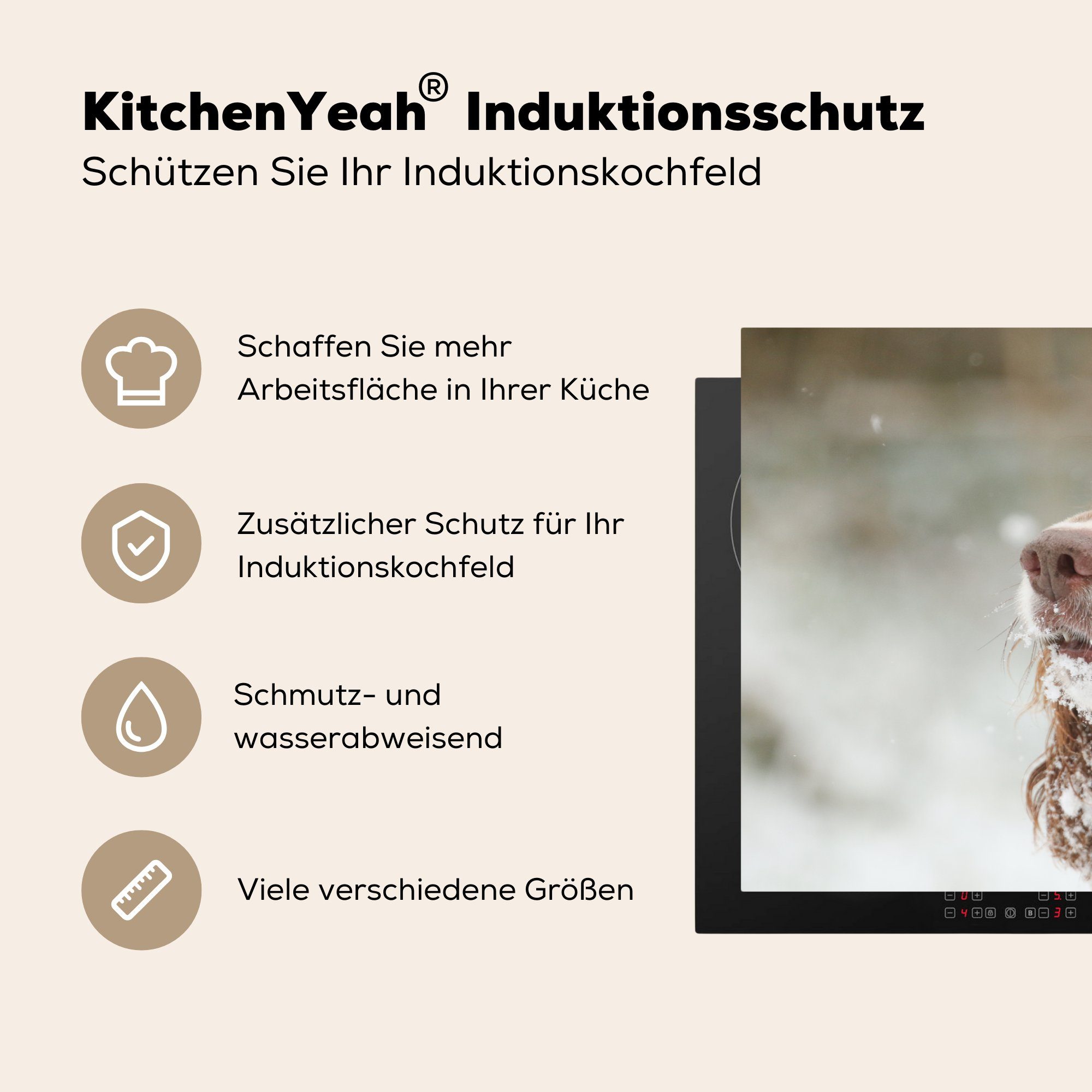 im Herdblende-/Abdeckplatte eines Springerspaniels Induktionskochfeld küche, Vinyl, cm, die Schnee, für (1 81x52 MuchoWow Schutz tlg), Ceranfeldabdeckung englischen Nahaufnahme