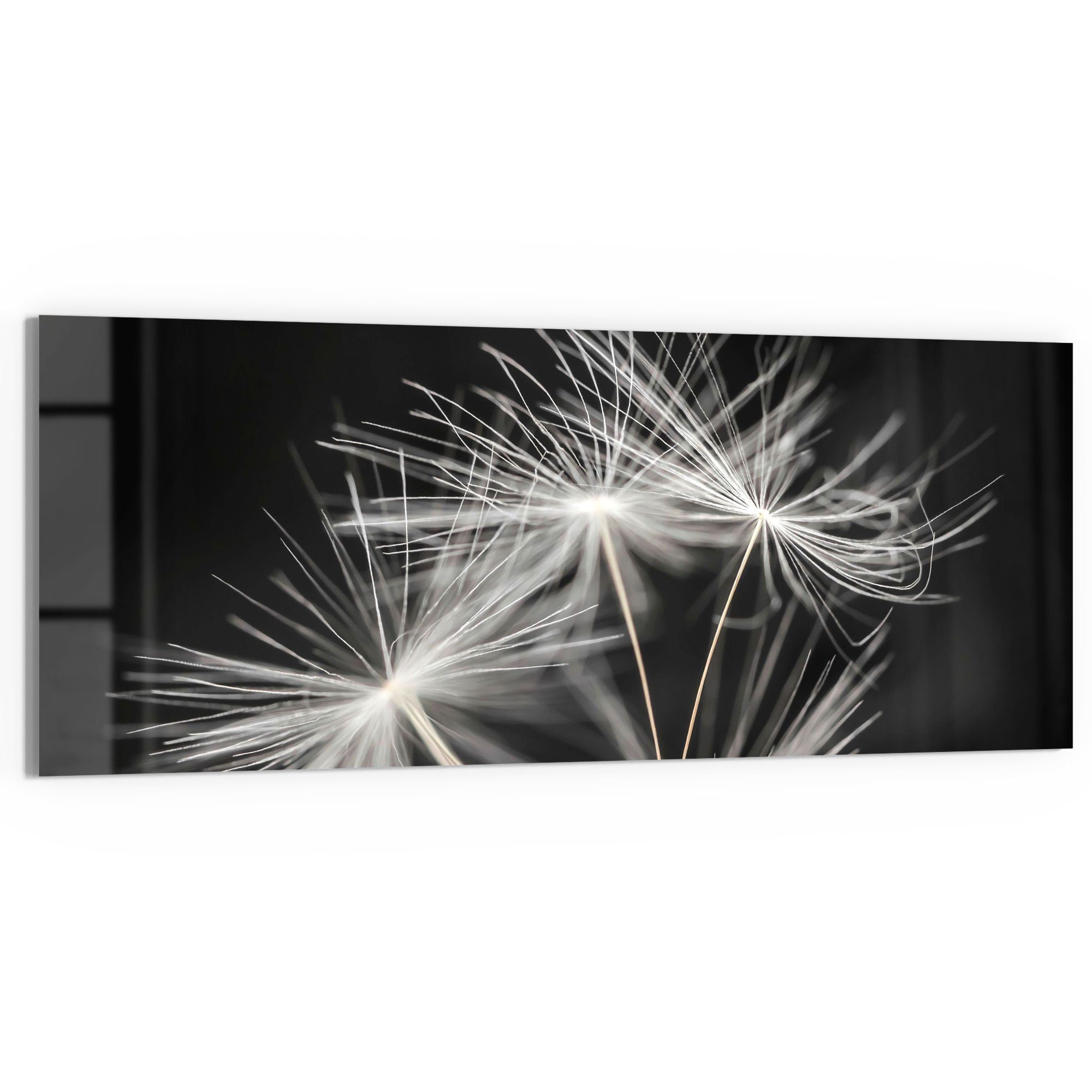 DEQORI Glasbild 'Samen der Pusteblume', 'Samen günstig online kaufen