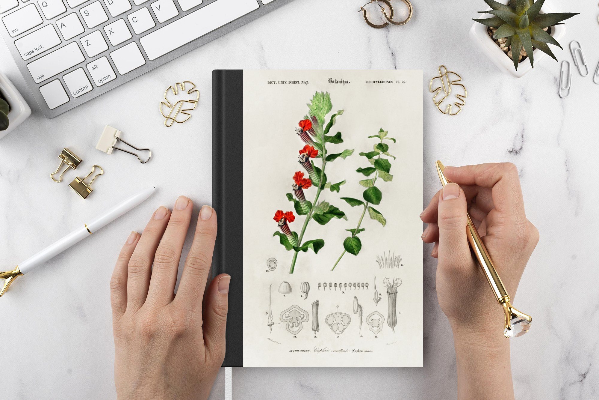 Notizbuch Journal, A5, Jahrgang Notizheft, Pflanze Merkzettel, 98 Seiten, - Botanica, Tagebuch, Haushaltsbuch MuchoWow -